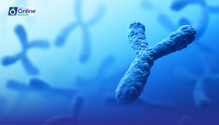 Lesson 02: Critical Analysis of the Experiments of T.H. Morgan Supporting Chromosomal Theory